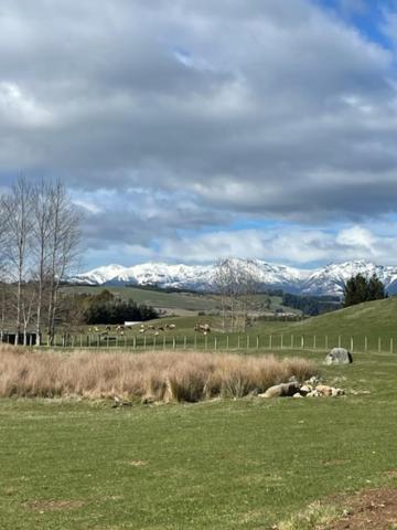 Boutique Tiny House - Te Anau Country Accommodation מראה חיצוני תמונה