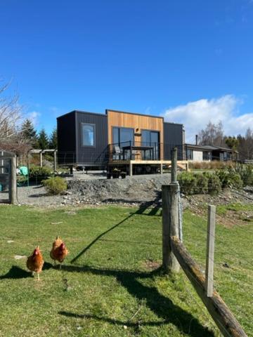 Boutique Tiny House - Te Anau Country Accommodation מראה חיצוני תמונה